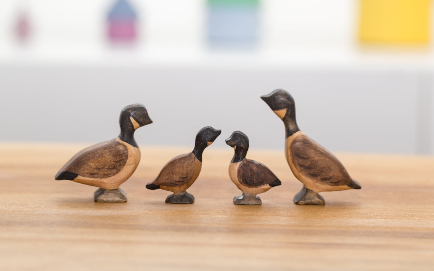 Mini Canada Geese set