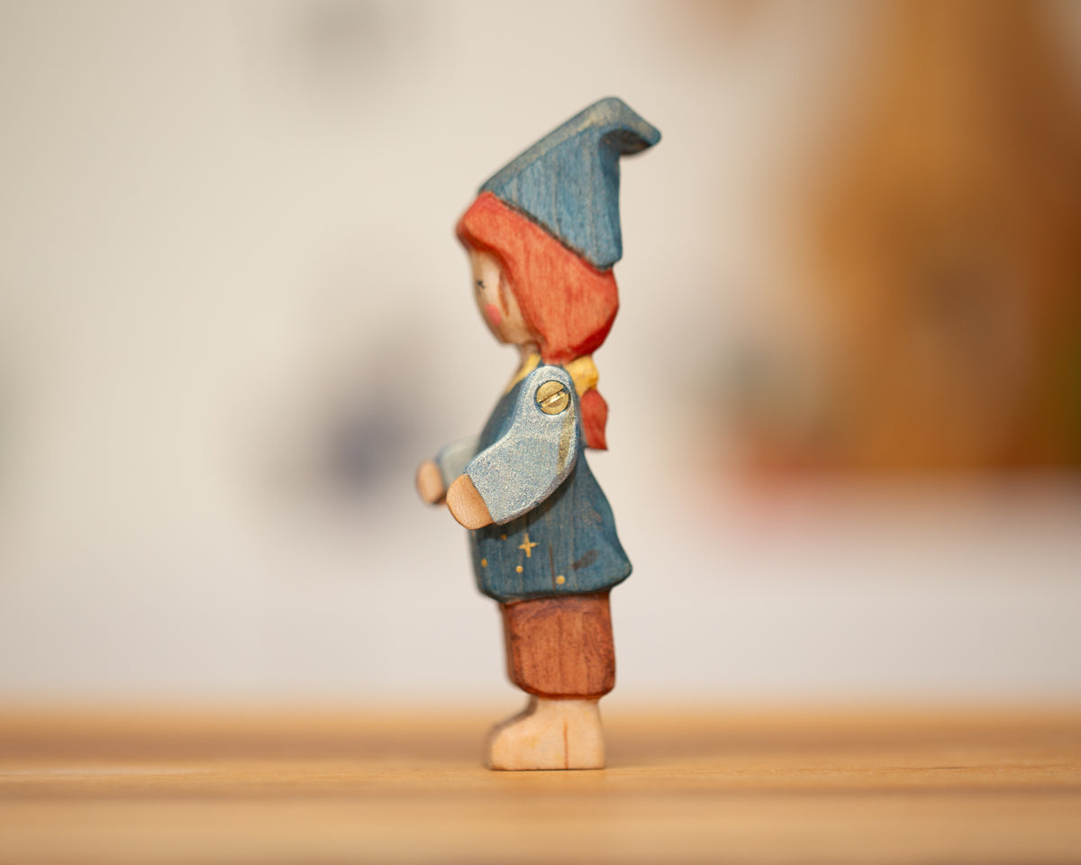 Wizard with pigtails
