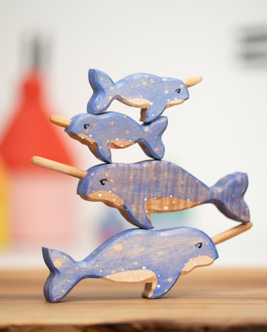 Baby Narwhal